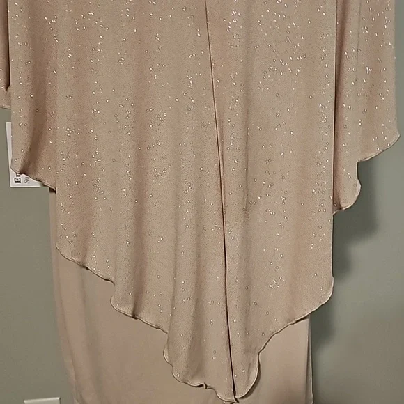 EN FOCUS Studio woman Sparkly Nude + Gold Sheer Tank Dress 16W NWT - Picture 11 of 14